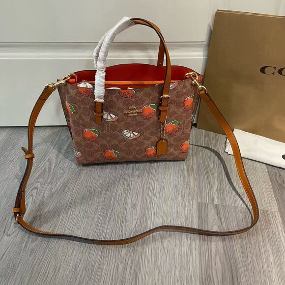 COACH Teri  Bag, Size 25cm - Picture 4 of 9